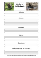 Wildschwein-Steckbriefvorlage.pdf